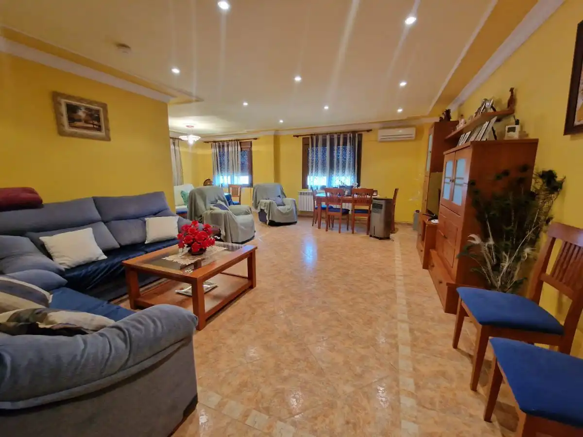 Sala d'estar de Casa o xalet en venda en Plasencia amb Aire condicionat, Jardí privat i Terrassa