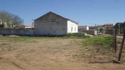 Photo 3 of Land for sale in Cantaelgallo P.m-9-20 (u.e.p-1), 79, Las Pajanosas, Sevilla