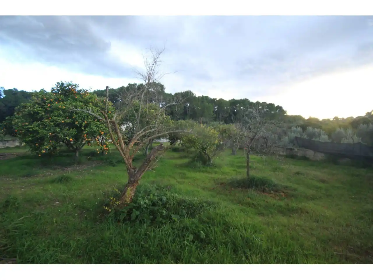 Finca rústica en venta en Costitx con Terraza