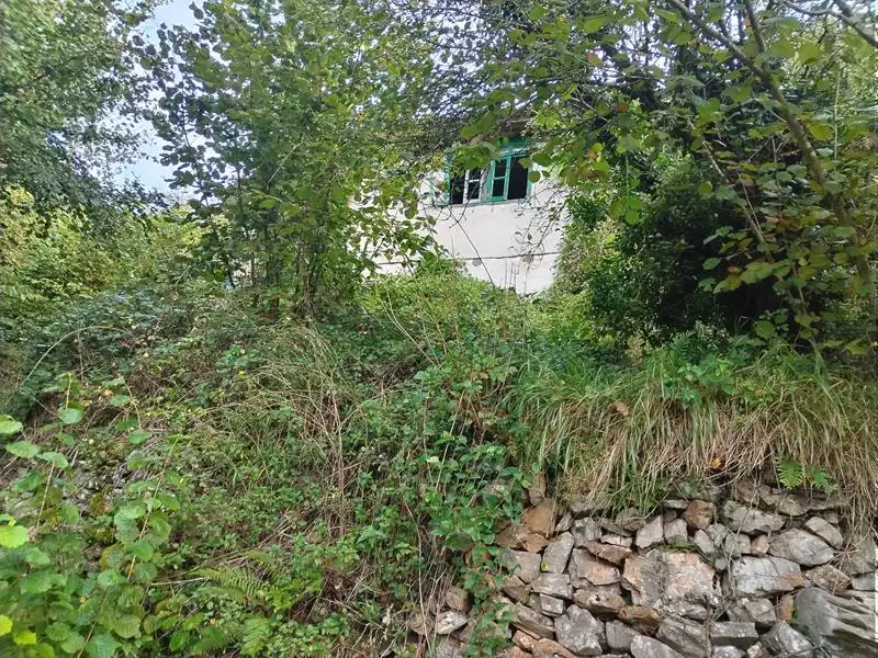 Country homes for sale in Yernes y Tameza