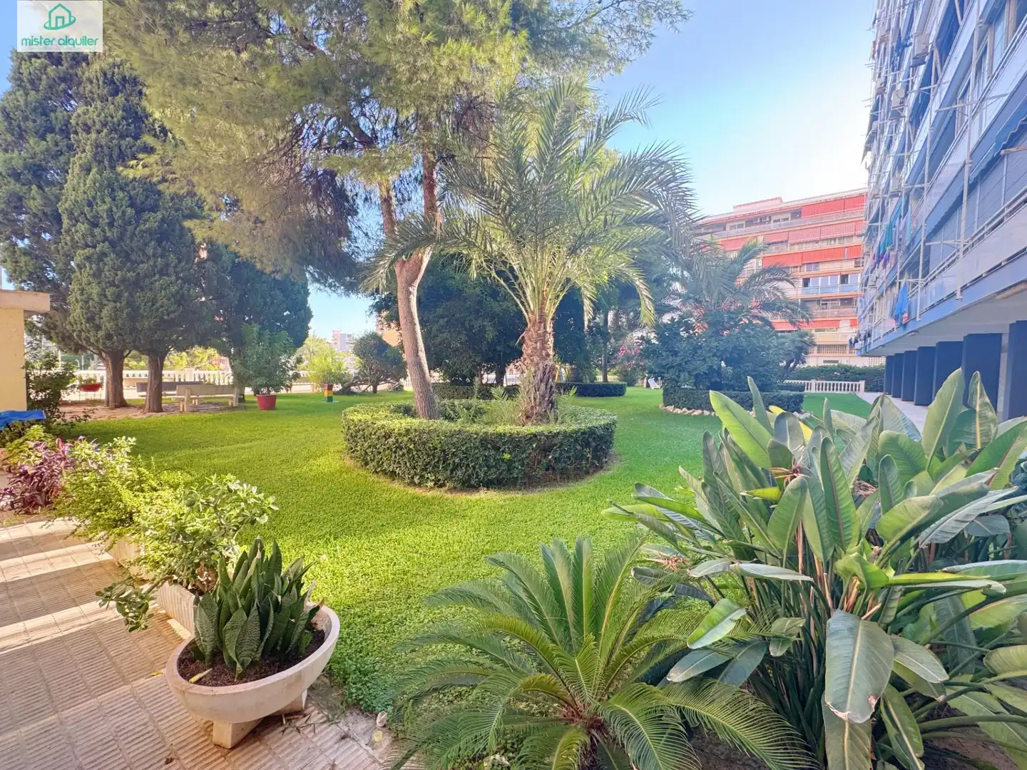 Apartamento con terraza en alquiler en Avenida CATALUÑA 14, imagen 59