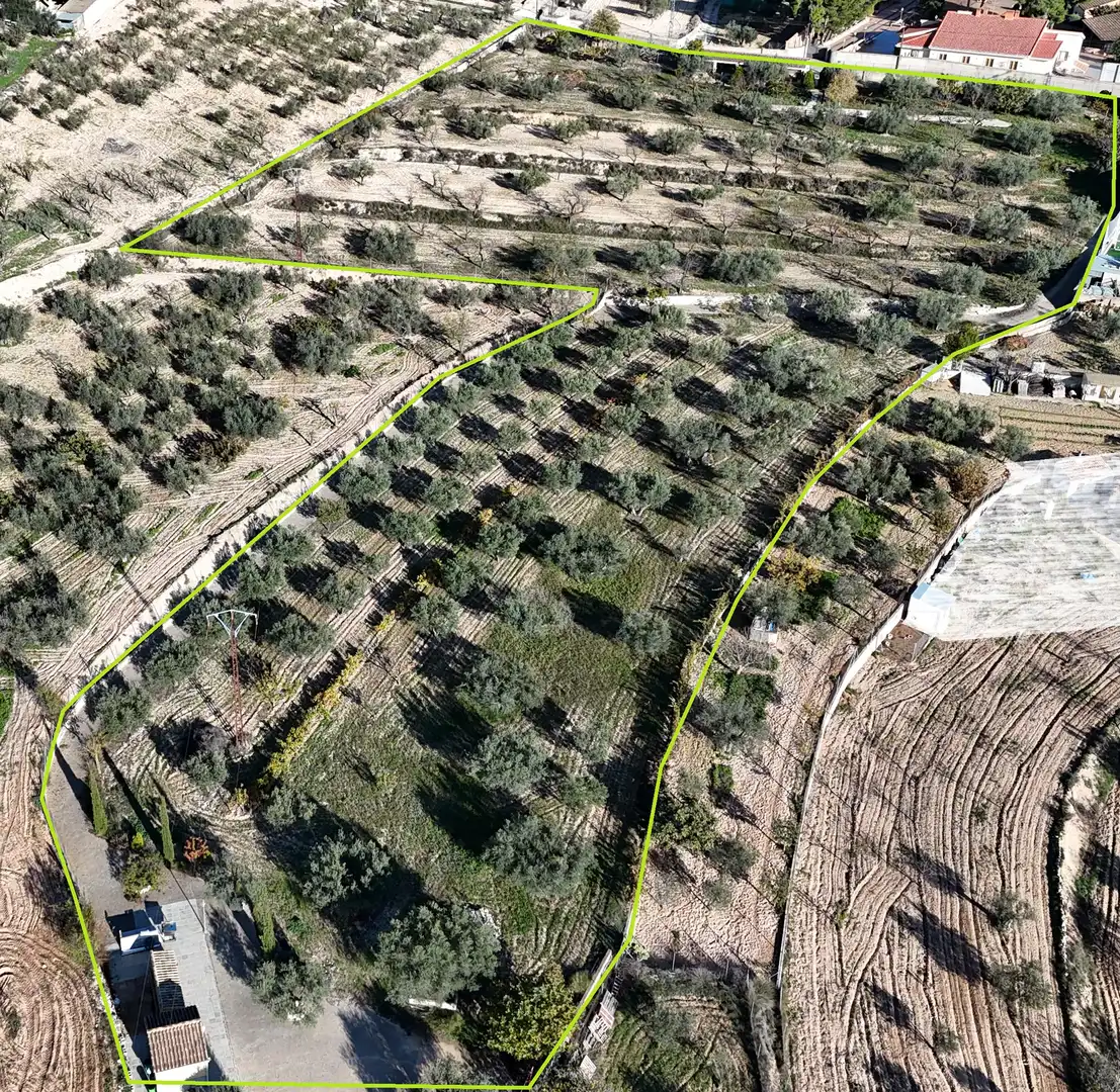 Terreno rústico en venta en Ibi
