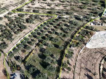 Rural land for sale in Ibi