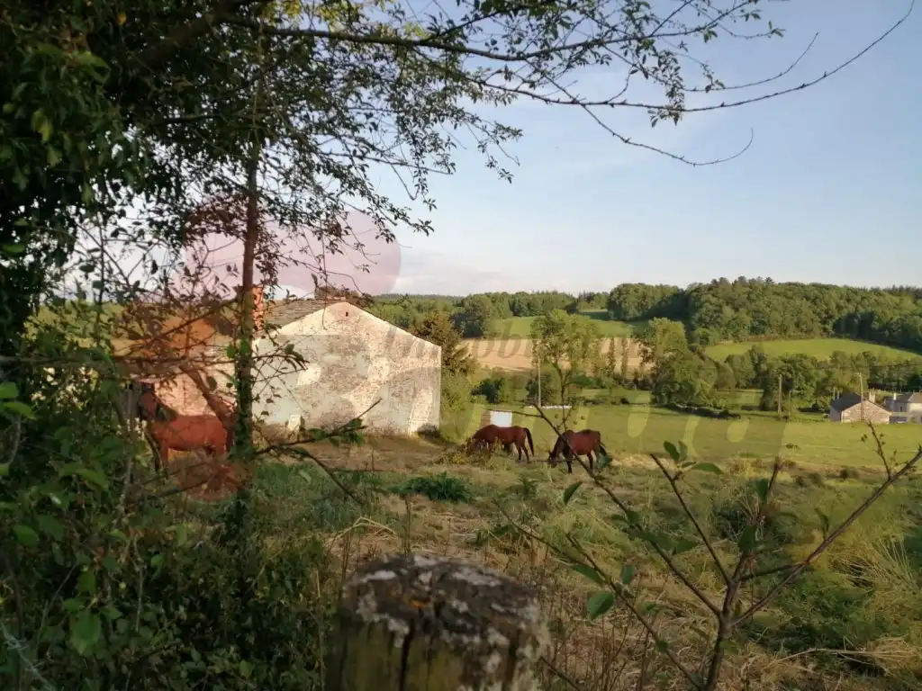 Maison à vendre à Sarria, imagen 4