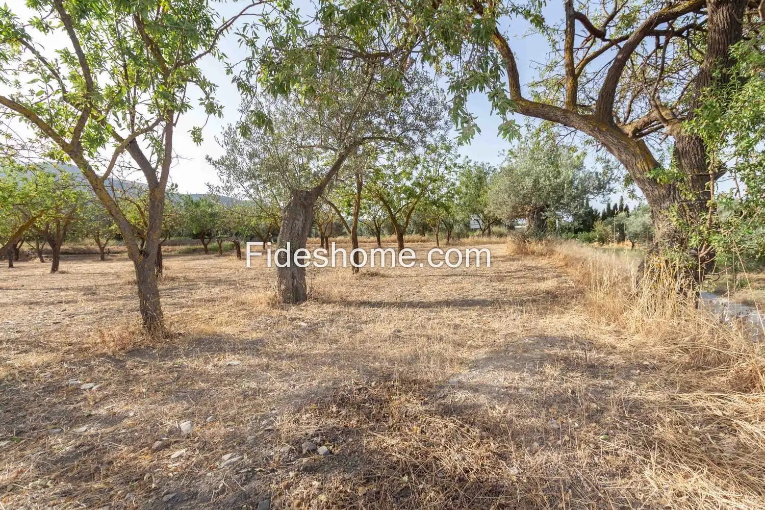 Rural land for sale in XFG2+MG9 Nigüelas 0, imagen 8