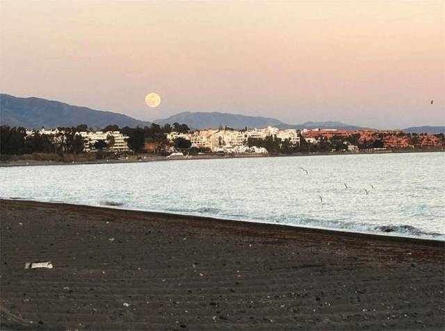Casa adosada en Alquiler en Calle Cabo de Gata, 21 en Zona de Punta Plata