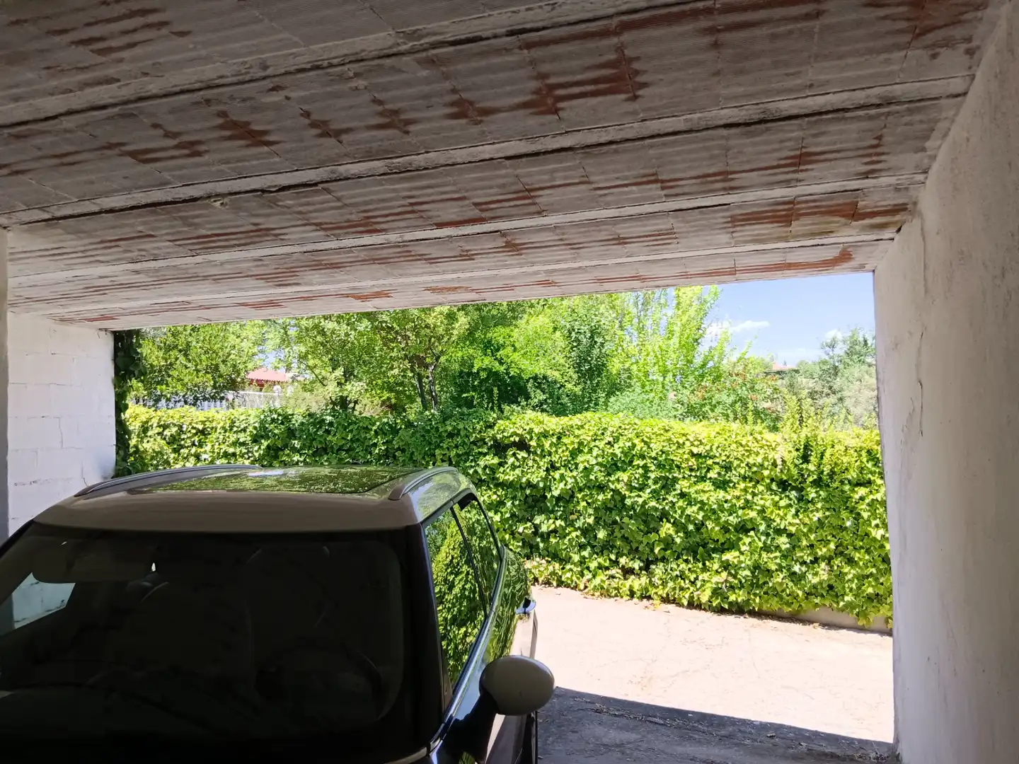Jardí de Casa o xalet en venda en Illana amb Jardí privat, Terrassa i Piscina
