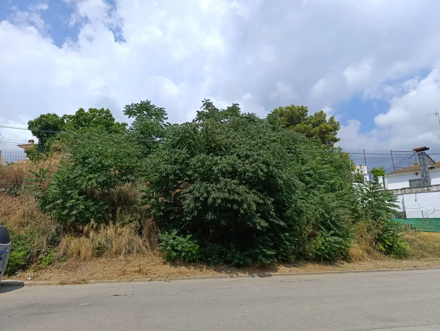 Terreny residencial en venda a Pinemar, imagen 21