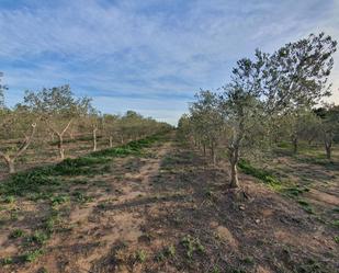 Residencial en venda en Xerta