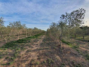 Terreno residencial en venta en Xerta