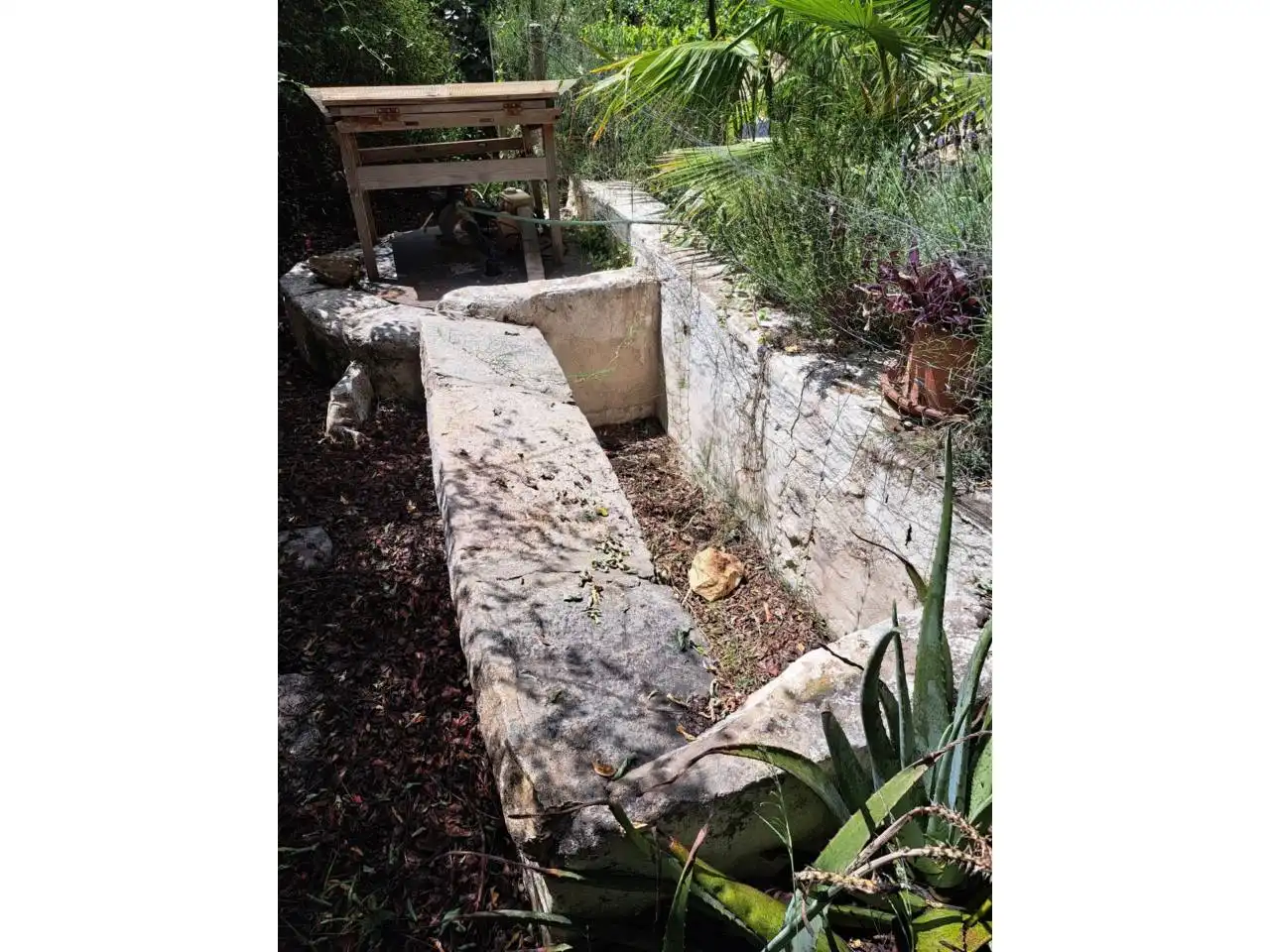 Jardín de Casa o chalet en venta en Pinet con Jardín privado