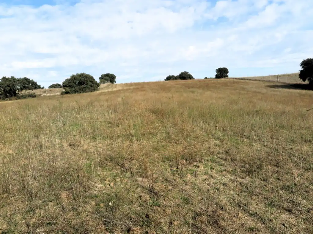 Casa o chalet en venta en Diseminados Camino Casa Roque, 294, La Dehesa - El Pinar