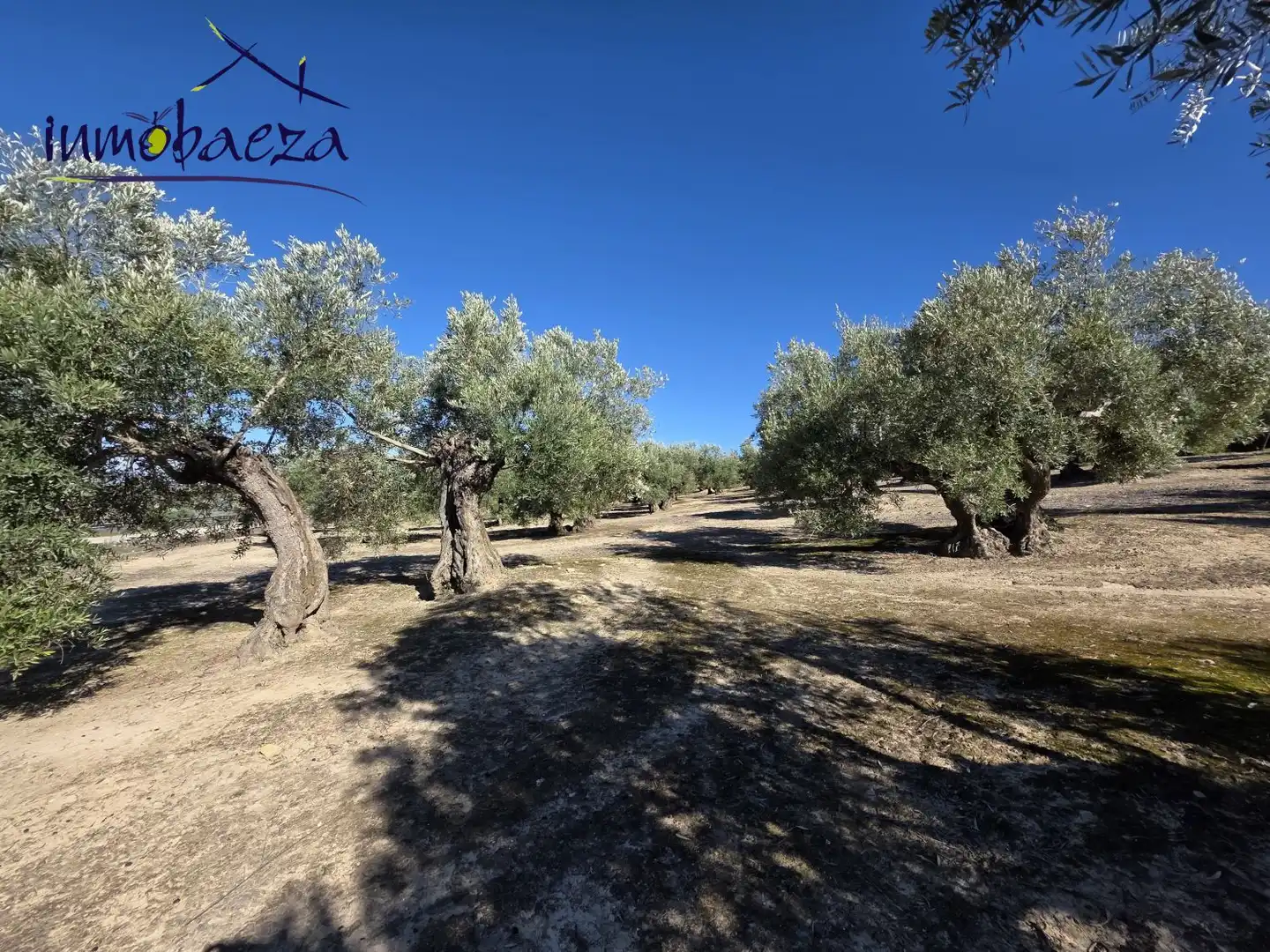 Country homes for sale in Baeza