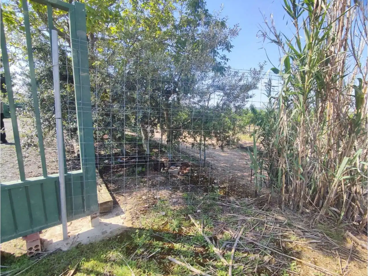 Terreno en venta en Zaidín