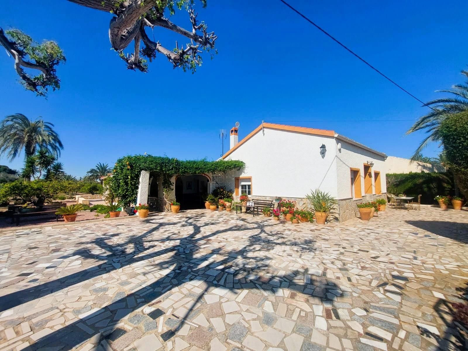 Vista exterior de Finca rústica en venda en Elche / Elx amb Terrassa