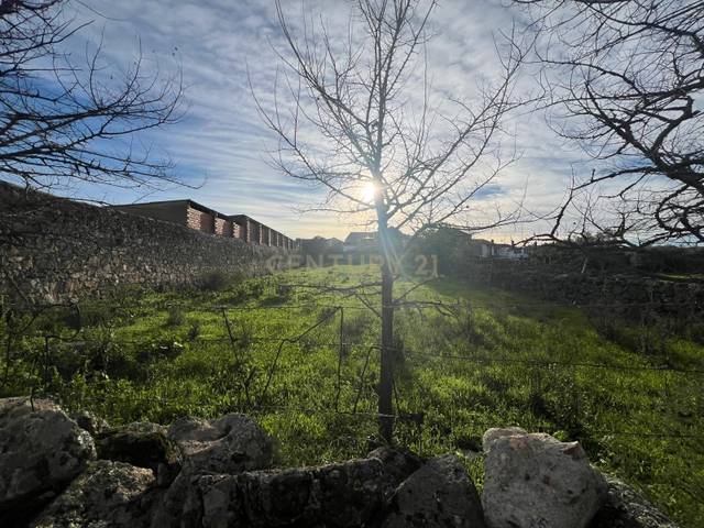 Casa-chalet en Venta en Calle Vitigudino, Zarza la Mayor, Spain, 59 en Zarza la Mayor