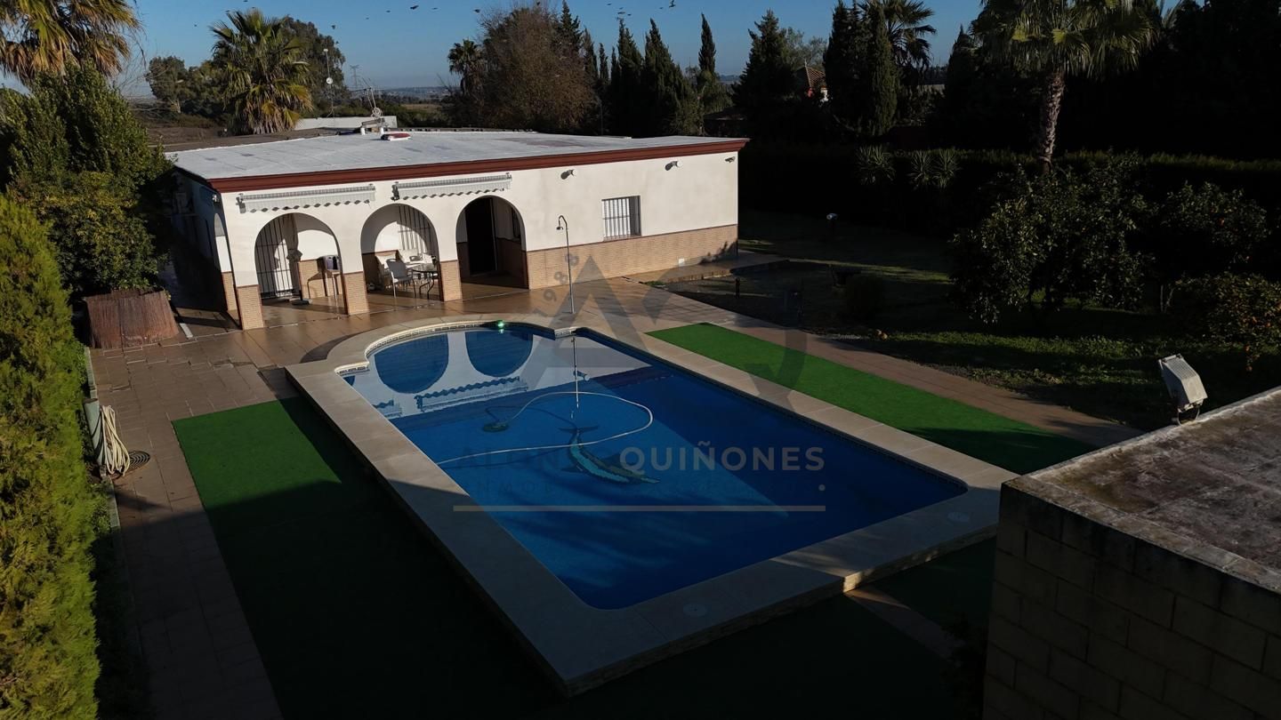 Swimming pool of Country house for sale in Alcalá de Guadaira