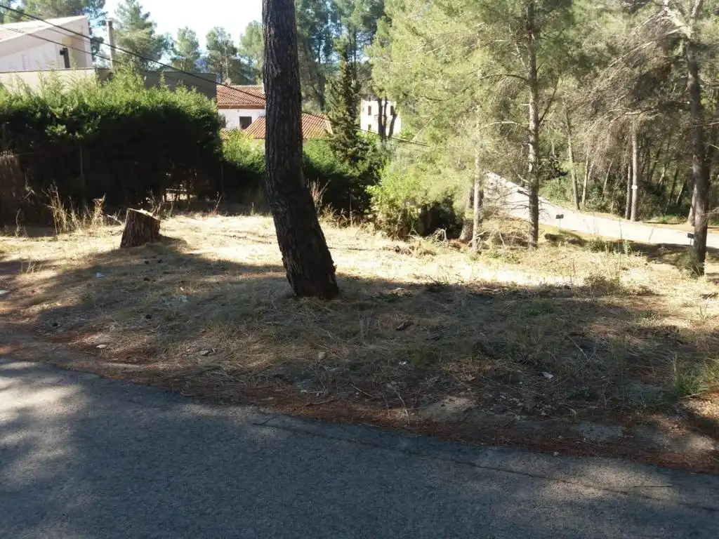 Terreny rústic en venda a MARE DE DEU DE MONTSERRAT, imagen 8