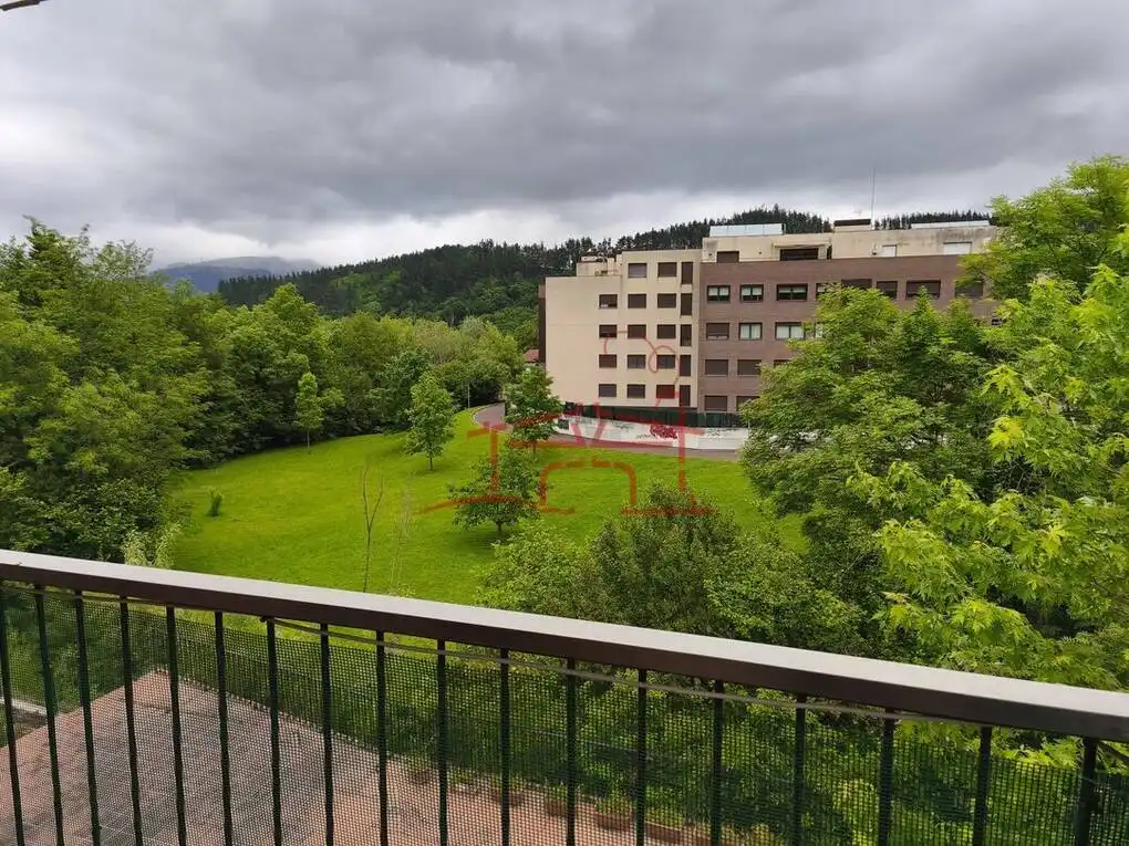 Vista exterior de Piso en venta en Abadiño  con Calefacción y Terraza