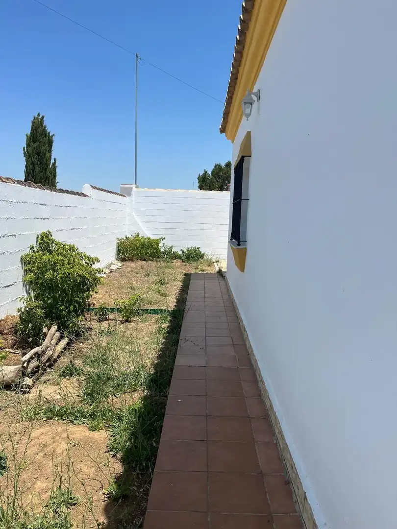 Garden of Houses for sale in Chiclana de la Frontera