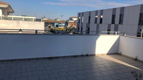 Foto 2 de Ático de alquiler en Sanlúcar la Mayor, Sevilla