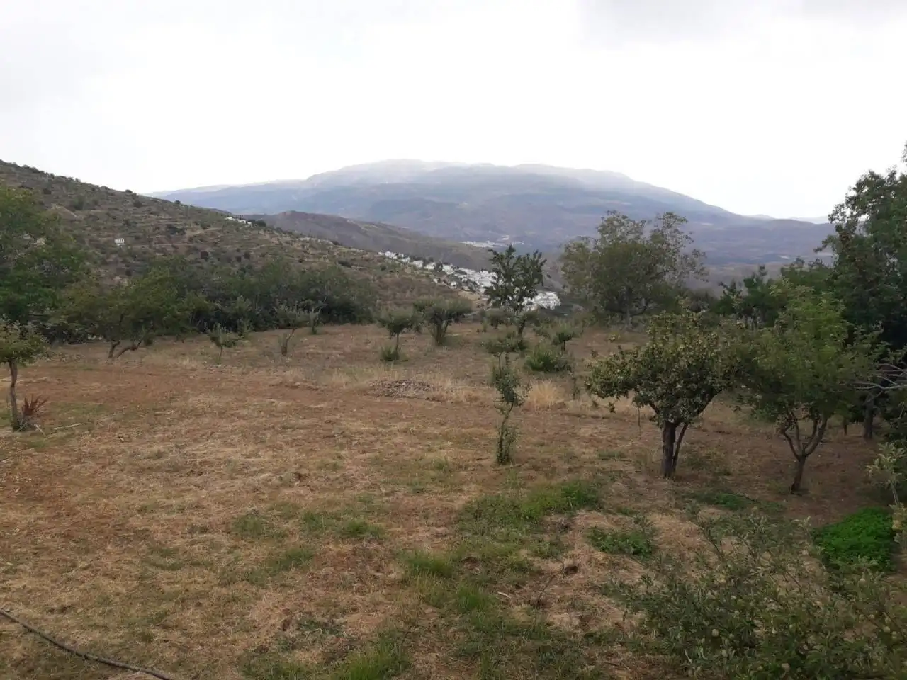 Terreni e lotti in vendita a Nevada