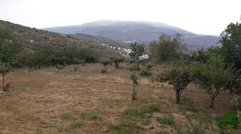 Finca rústica en venta