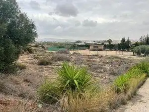 Casa rústica en venta en Pedanías Oeste, imagen 9
