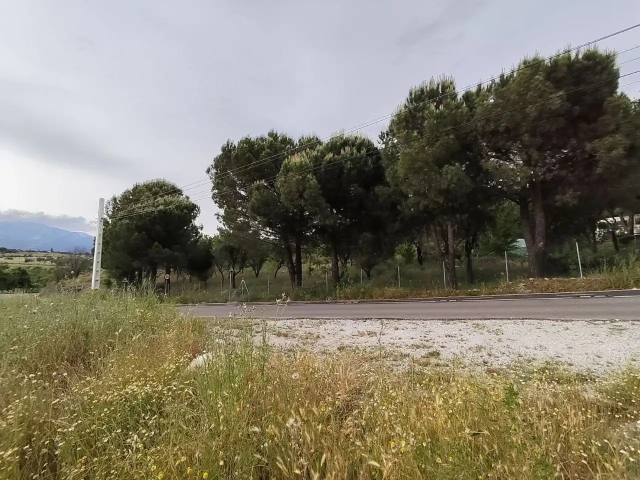 Rural land for sale in Camino del Valle 90, imagen 3