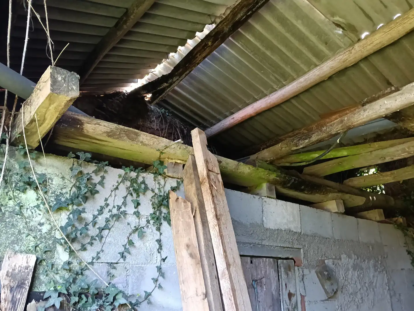 Vista exterior de Casa adosada en venda en Cesuras amb Jardí privat