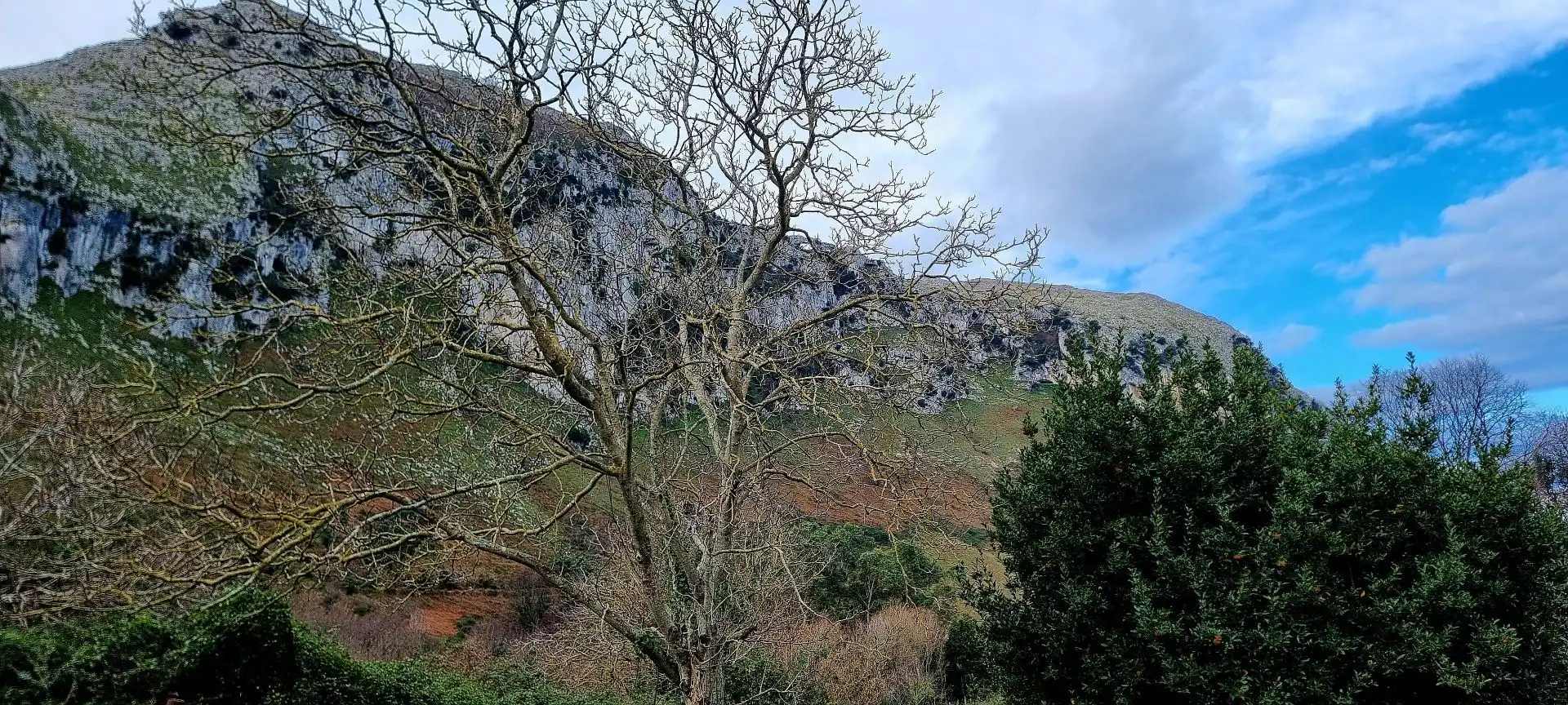 Terreno en venta en Oriñón - Allendelagua