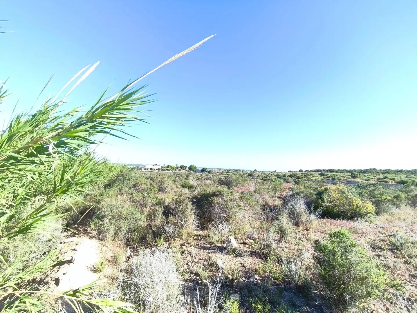 Terreno residencial en venta en Polígono POLIGONO 126 BALSARES 126