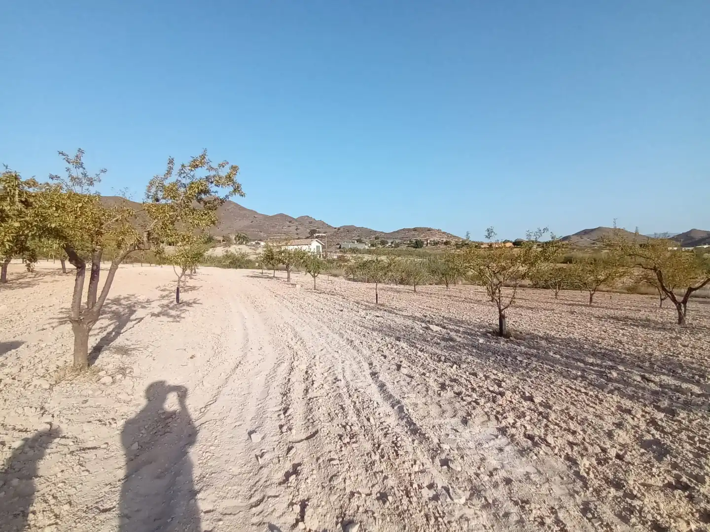 Terreno rustico in vendita a Lugar las Barrenas 6, imagen 17