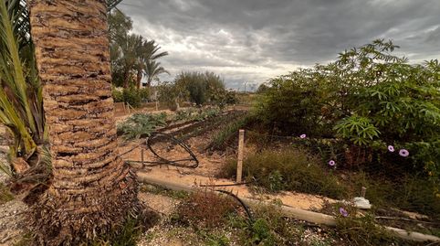 Foto 4 von Grundstücke zum Verkauf in Cañada Hermosa, Murcia Capital