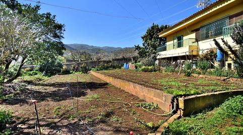 Foto 3 de Finca rústica en venda a  Montaña Cabreja 8, Vega de San Mateo, Las Palmas