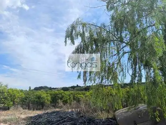 Terreny rústic en venda a Vallés, imagen 6