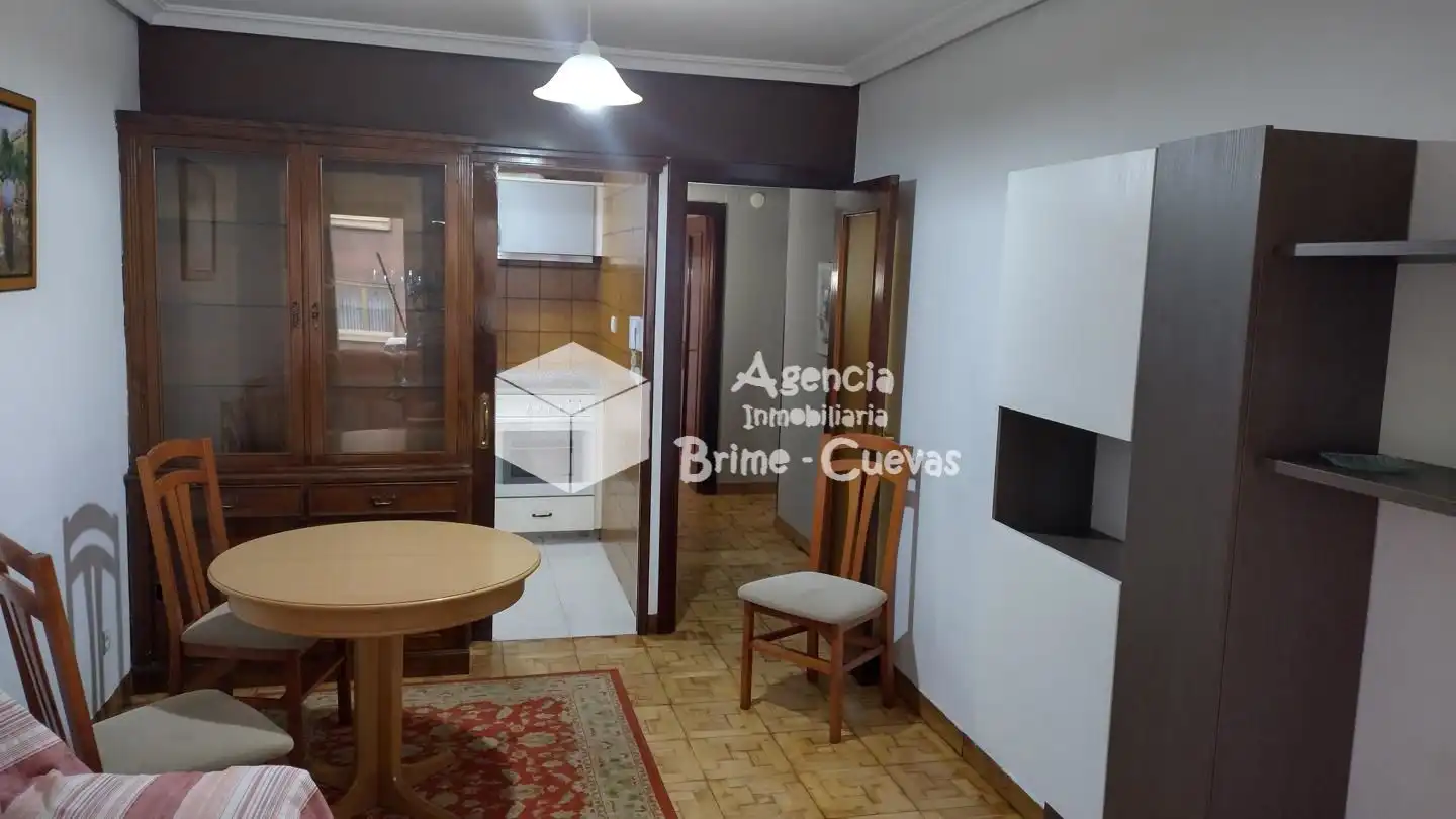 Sala de estar de Piso de alquiler en Oviedo  con Calefacción