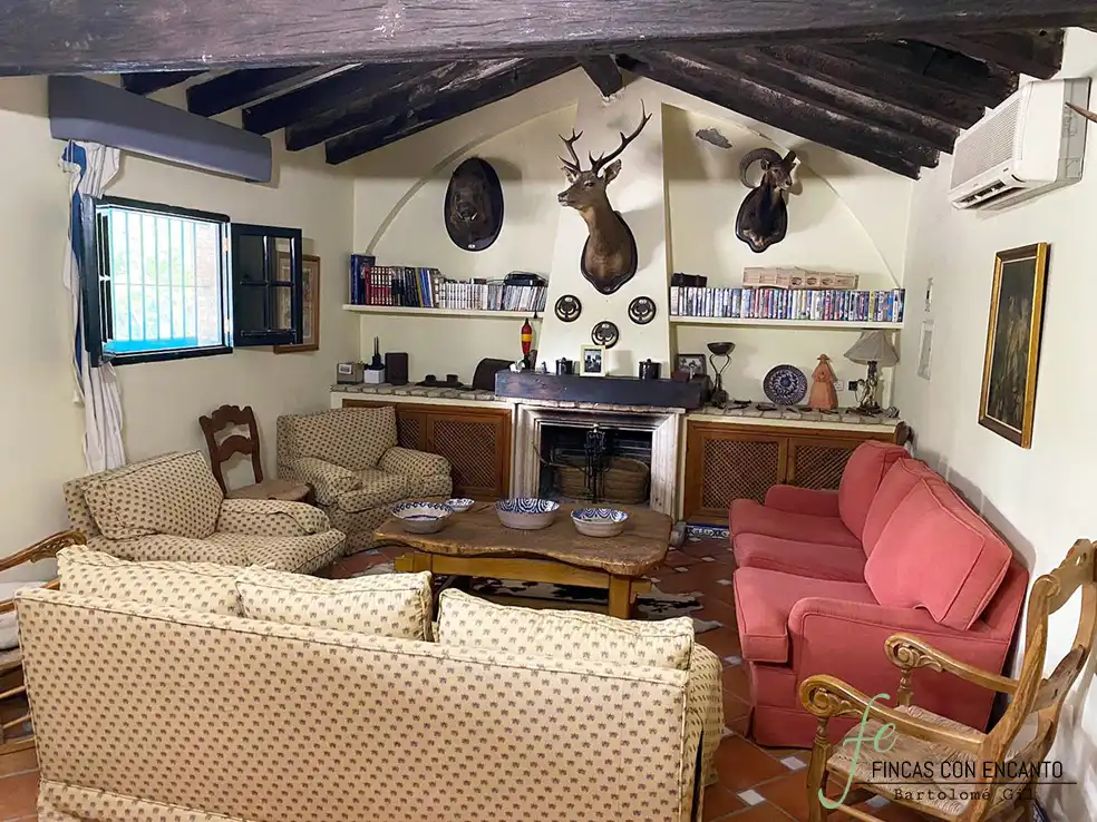 Wohnzimmer von Country house zum Verkauf in Marchena mit Privatgarten, Terrasse und Schwimmbad