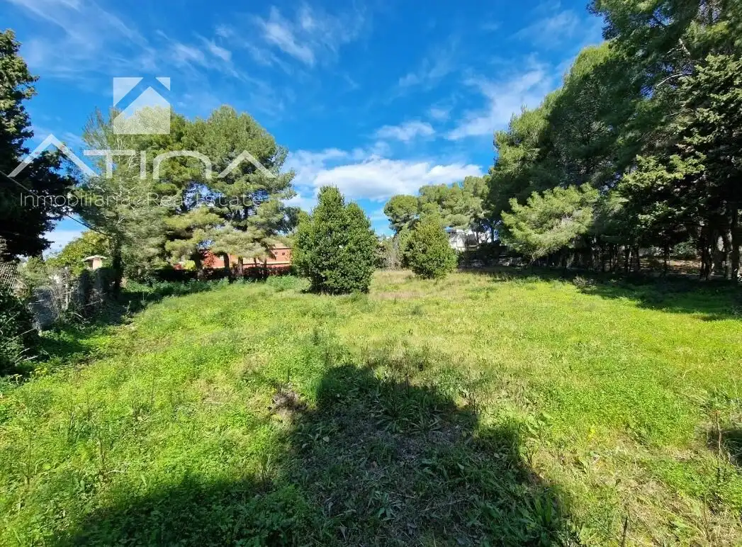 Terreny residencial en venda a Cap Martí - El Tossalet - Pinomar