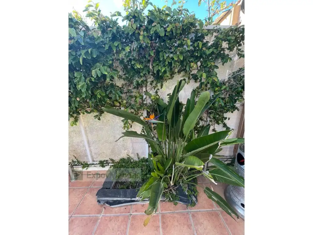 Jardín de Casa adosada en venta en Murcia