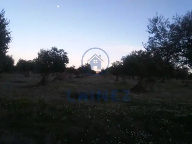 Terreni e lotti in vendita a Valsequillo, imagen 4