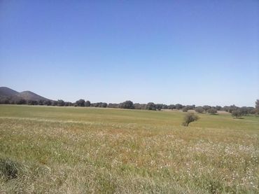 Terreno residenziale in vendita a Peñarroya-Pueblonuevo
