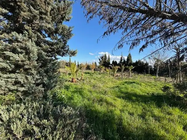 Finca rústica en venta en Coreses