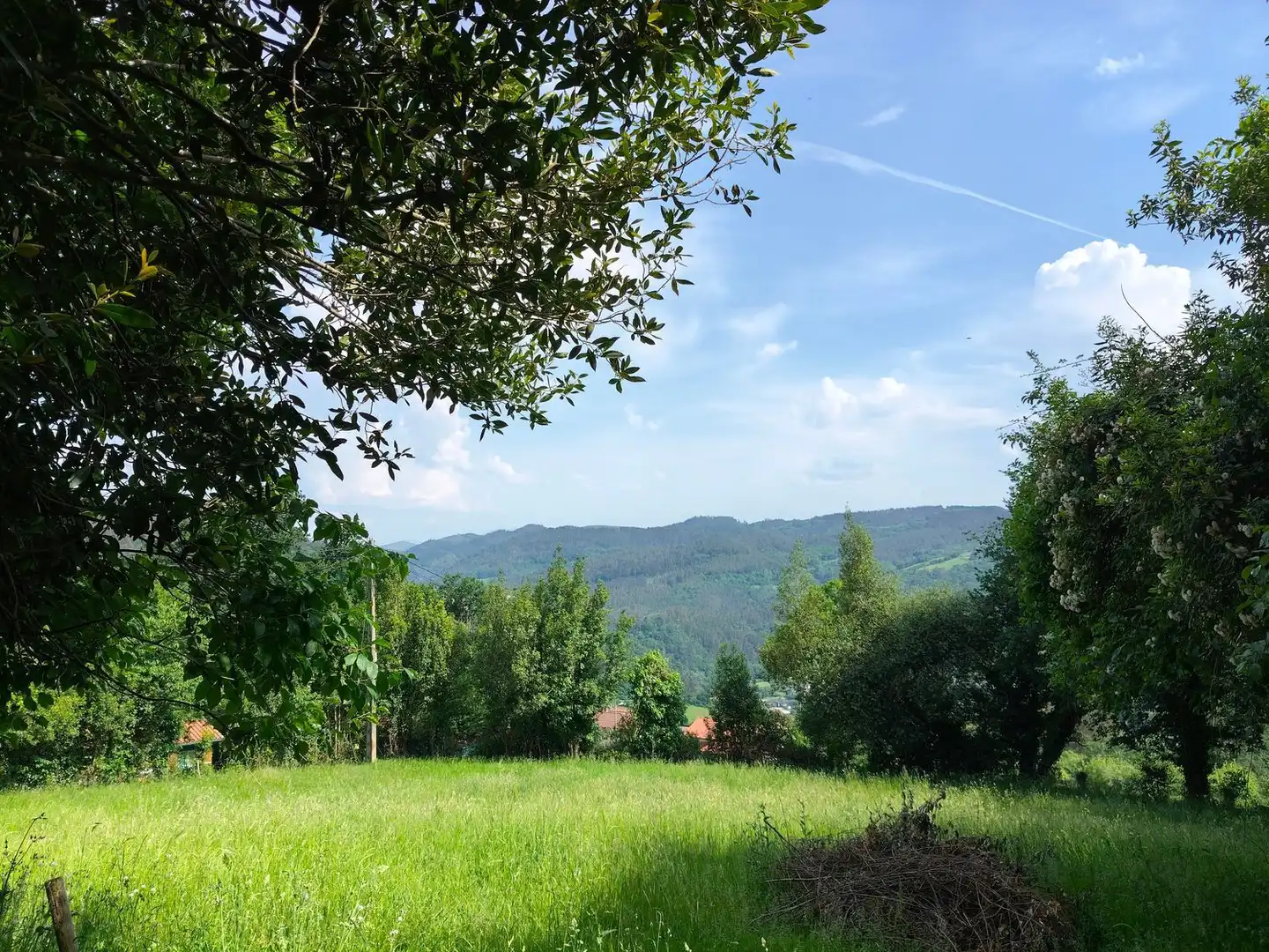 Casa o xalet en venda en Salas amb Terrassa i Piscina