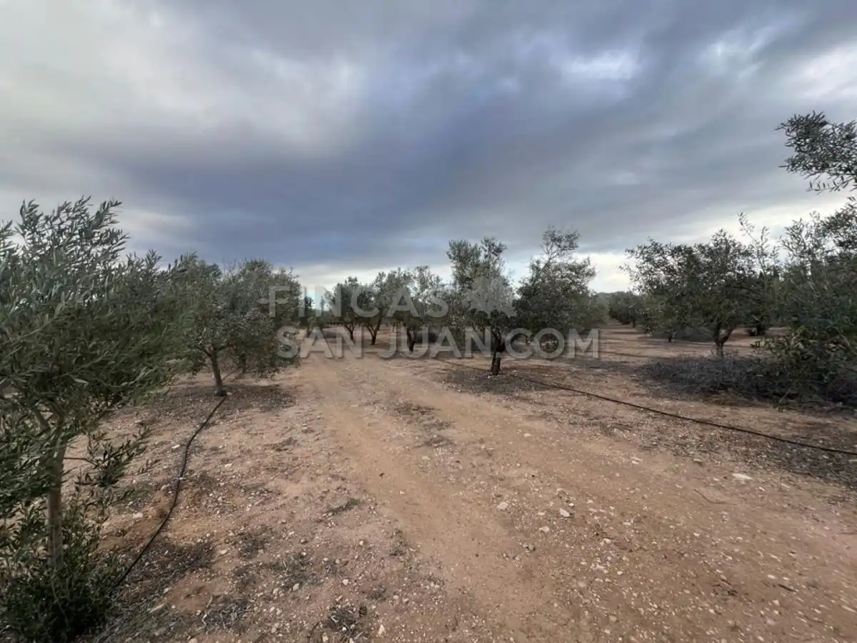 Country homes for sale in Biar
