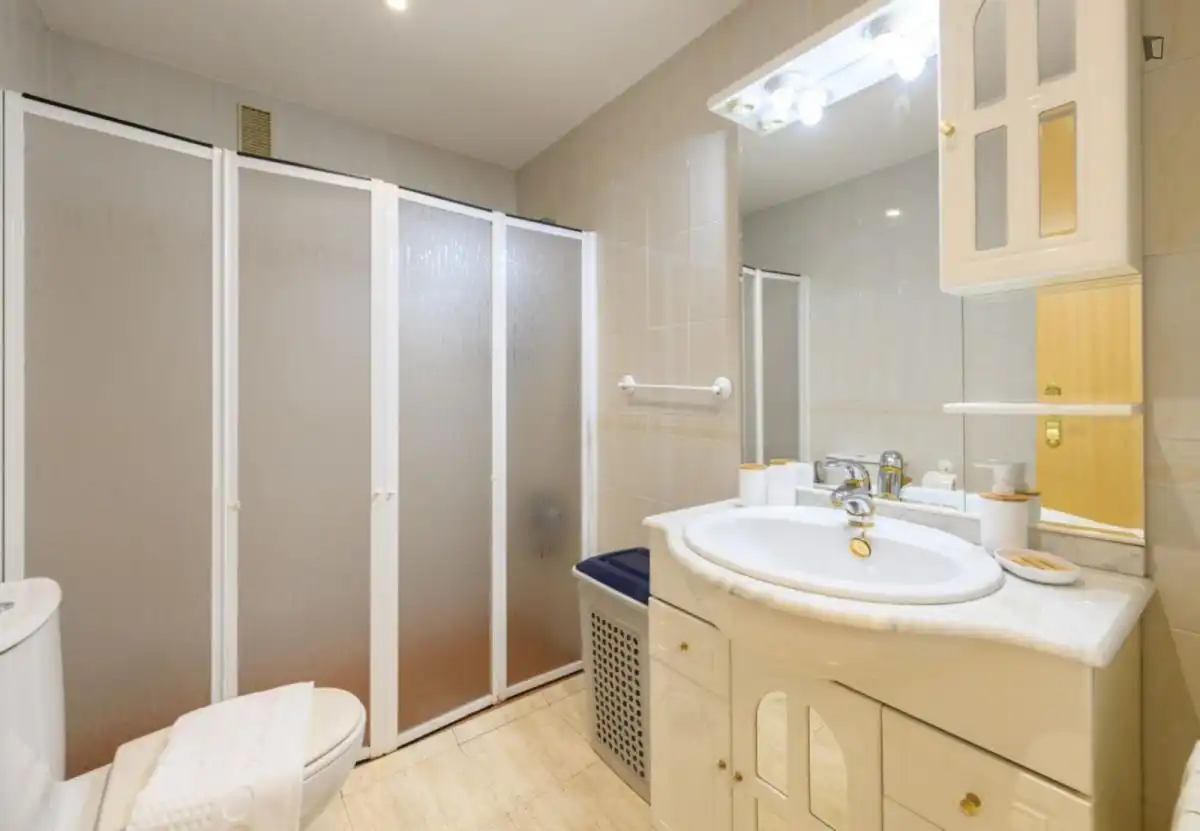 Bany de Apartament de lloguer en Madrid amb Aire condicionat, Calefacció i Moblat