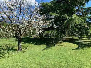 Garten von Haus oder Chalet zum Verkauf in Sant Esteve de Palautordera mit Privatgarten und Schwimmbad