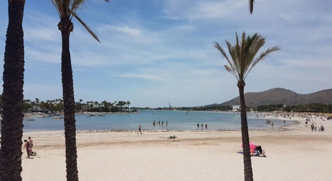 Business premises for sale in Port d'Alcúdia - Platja d'Alcúdia, imagen 16