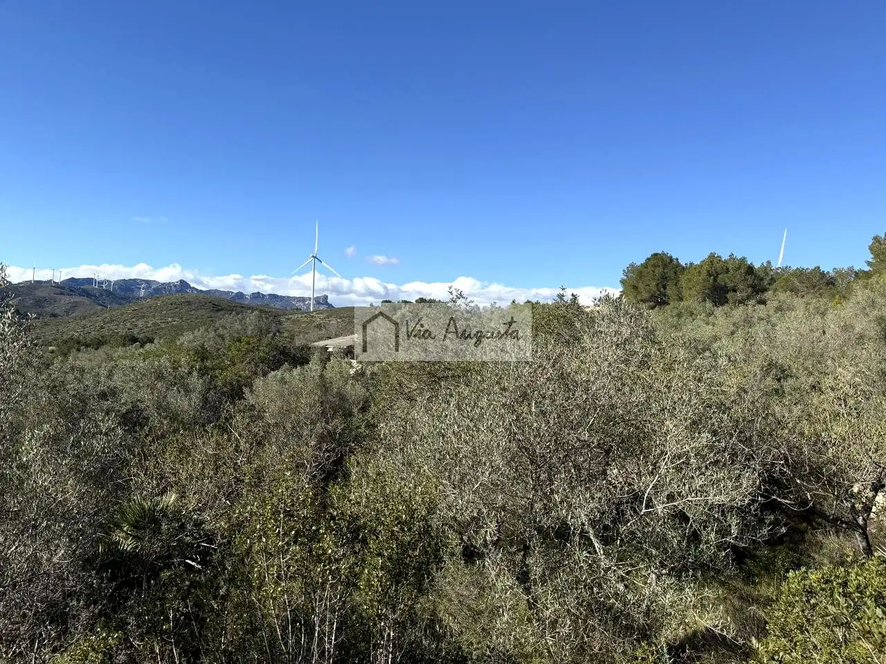 Terreno rustico in vendita a Bassa d'en Baró, imagen 5