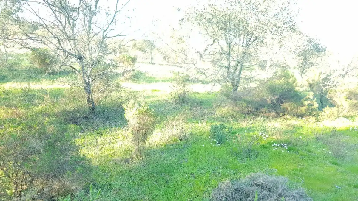 Residencial en venda en Badajoz